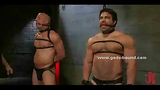 Couple of gay sex toys bound in leather